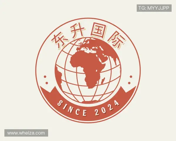 认识东升国际